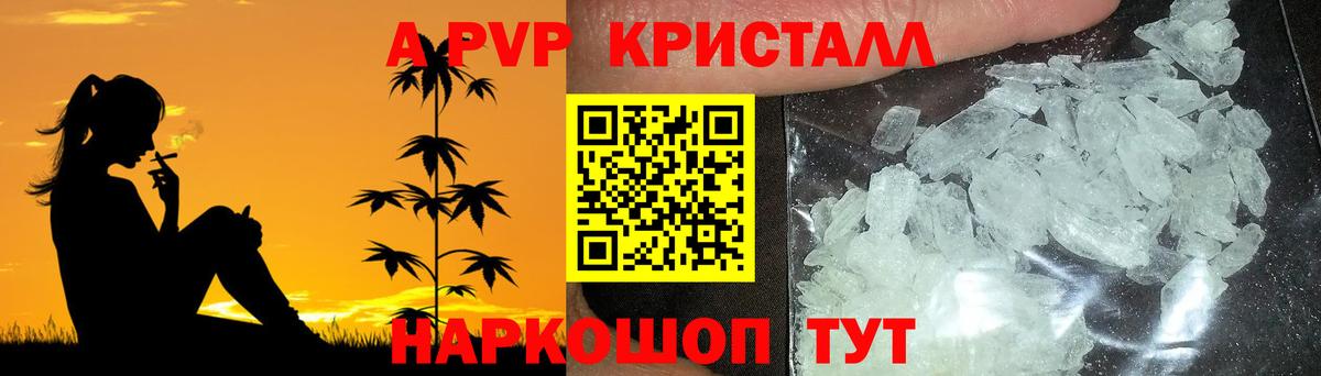 Альфа ПВП СК Петрозаводск