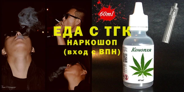 хмурый Мегион