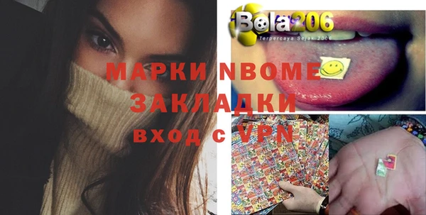 индика Бородино