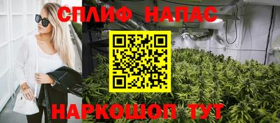 СК Канаш