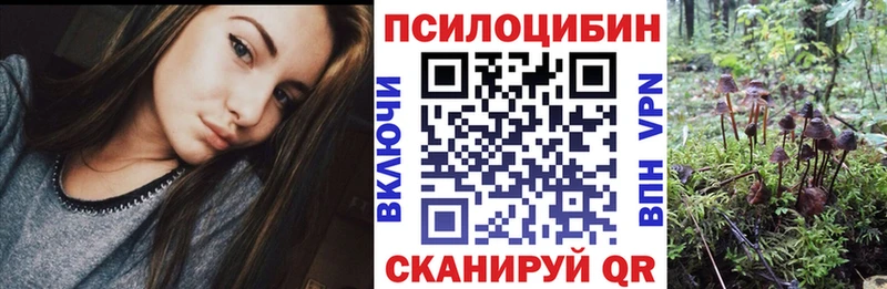 Псилоцибиновые грибы Psilocybine cubensis  Петрозаводск 
