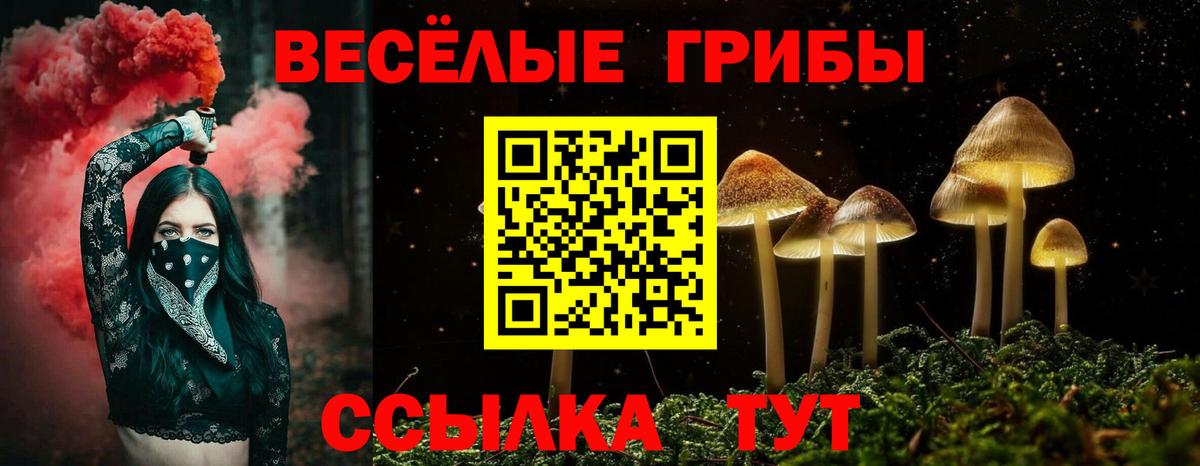 Петрозаводск  Псилоцибиновые грибы ЛСД  Вход с VPN 